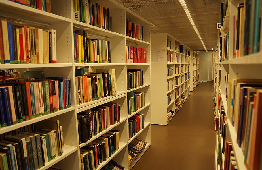Library, Books, Cupboard, Book, reading, literature, read, knowledge, bookshelf, shelf