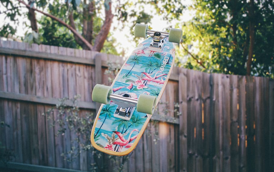 skateboard, backyard, fence, trees, wheels, wood - material, tree, day, plant, focus on foreground