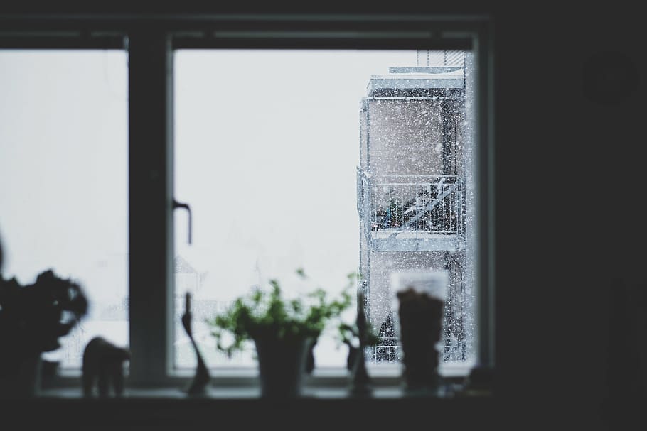 ceramic, vase, glass window, selective, focus, photography, clear, frosted, glass, window