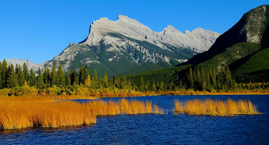 vermillion lakes landscape, banff, national, park, Vermillion, Lakes, landscape, Banff National Park, Alberta, Canada