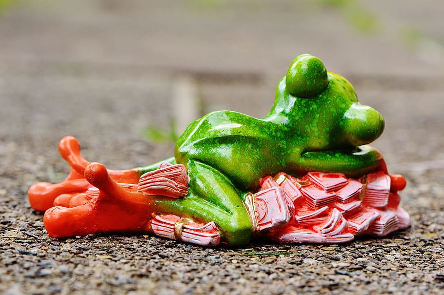 money soothes, sleep, bunch of money, frog, figure, funny, cute, decoration, green, animal