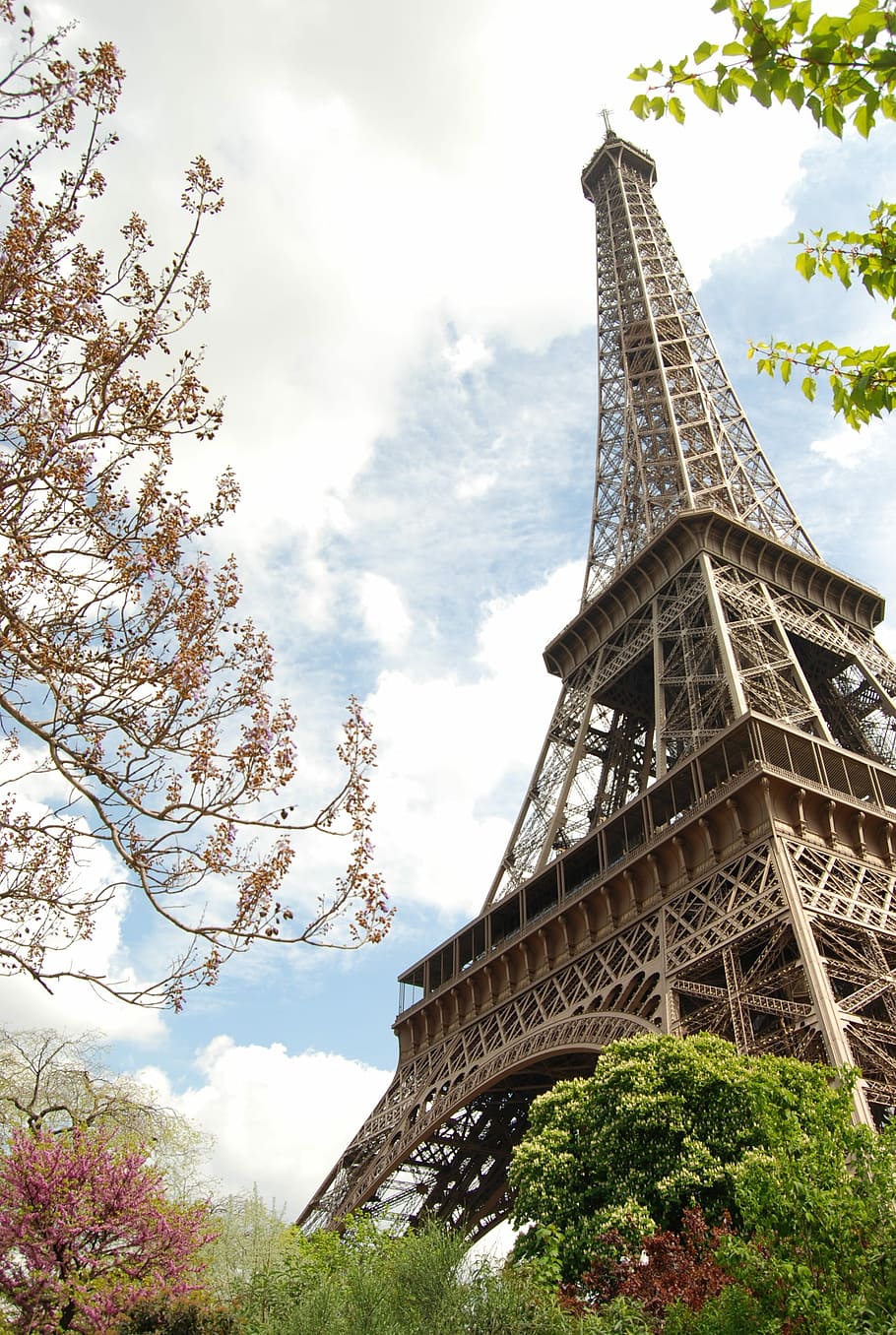 Paris, Eiffel Tower, Monuments, France, capital, city of light, reference point, tree, cloud - sky, travel destinations