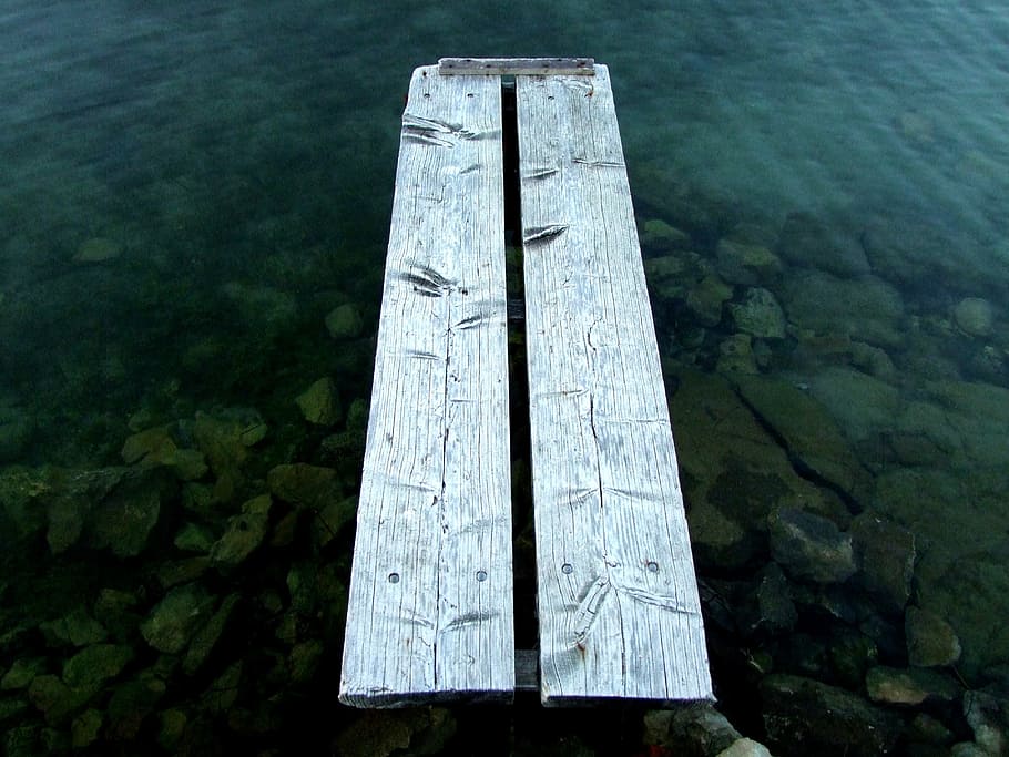 web, wood, water port, jetty, wooden bridge, boardwalk, pier, wood - material, nature, water