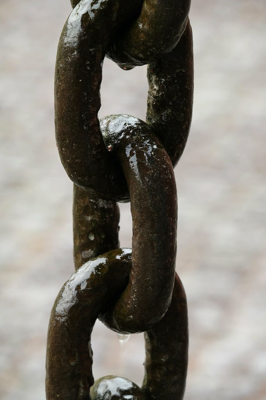 links of the chain, chain, iron, metal, connection, members, metal chain, together, shiny, wet