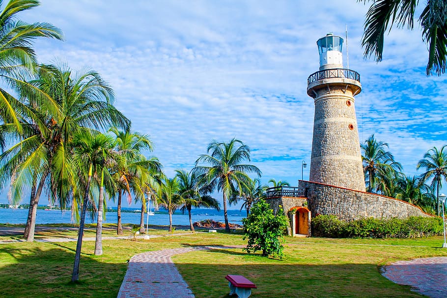 coastline, surrounded, coconut palm trees, blue, sky, daytime, Lighthouse, Cartagena, Colombia, cartagena, colombia