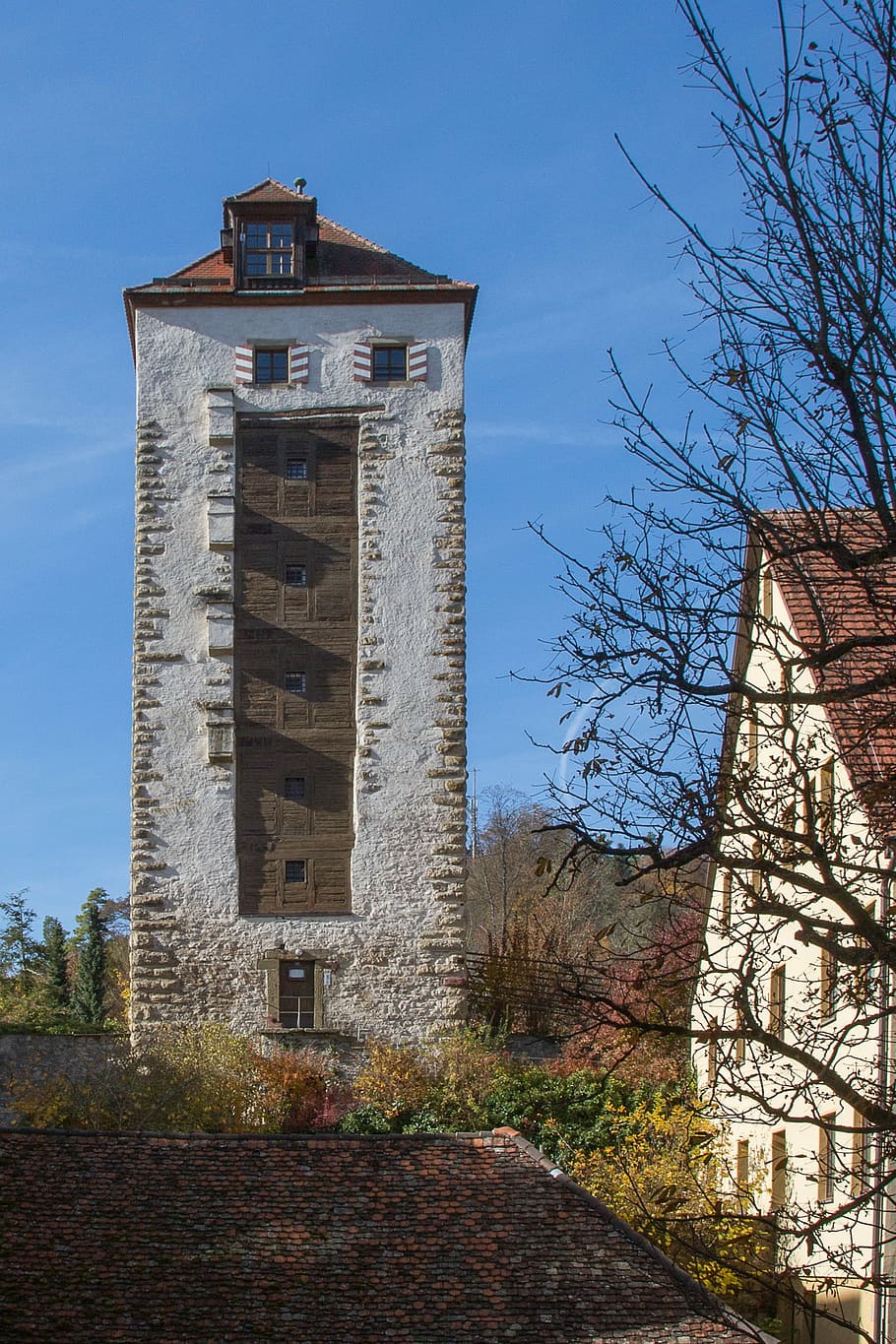 Horb Am Neckar, Rogue, Tower, horb, rogue tower, castle, bare tree, building exterior, outdoors, architecture