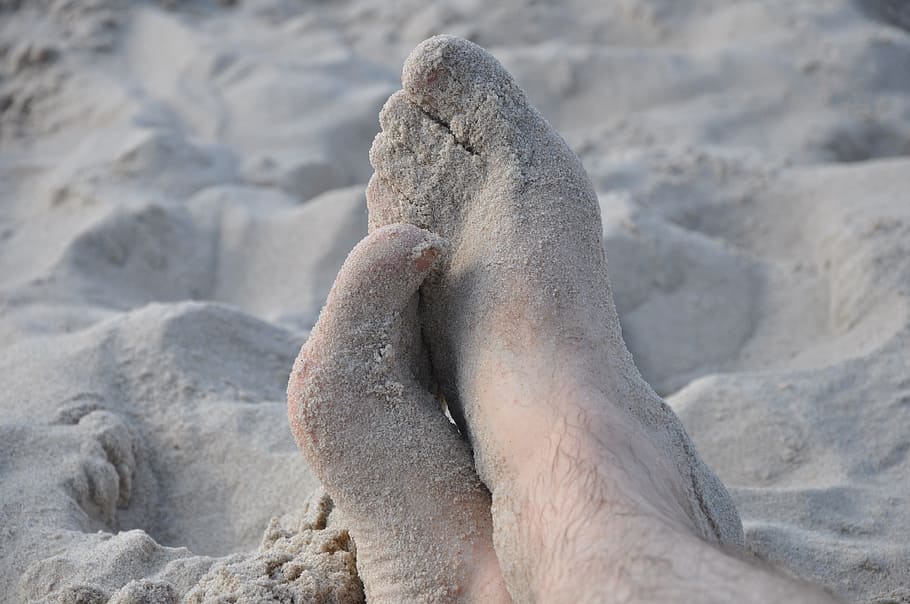 Feet, Legs, Sand, feet in the sand, relaxation, rest, siesta, nature, animal, one animal