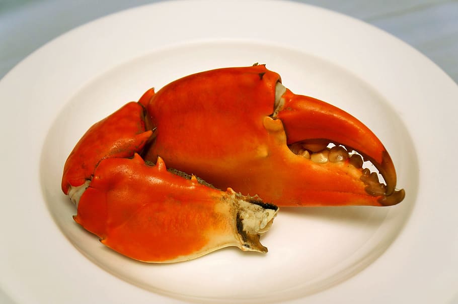 food, as crab, ca mau, vietnam, food and drink, plate, freshness, close-up, indoors, healthy eating