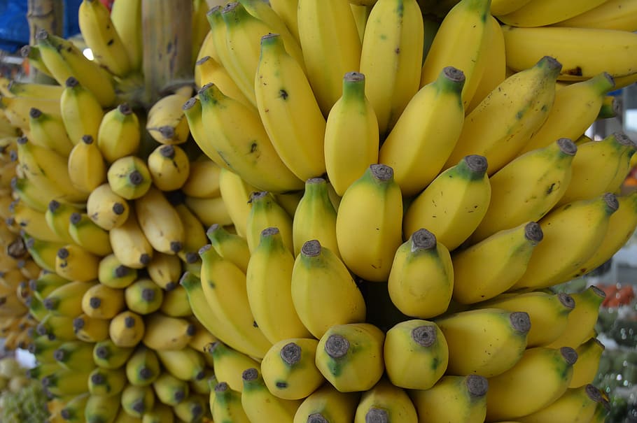 바나나, 작은 바나나, 유기농 바나나, 건강한 식생활, 음식 및 음료, 노랑, 과일, 음식, 웰빙, 큰 그룹의 개체