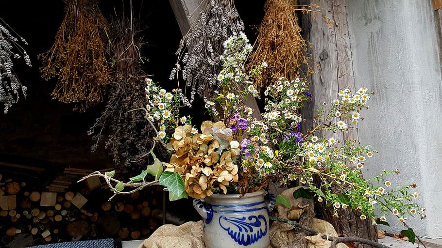 bunga, alam, tanaman, bunga kering, kering, herba, karangan bunga, vas, pot, musim panas