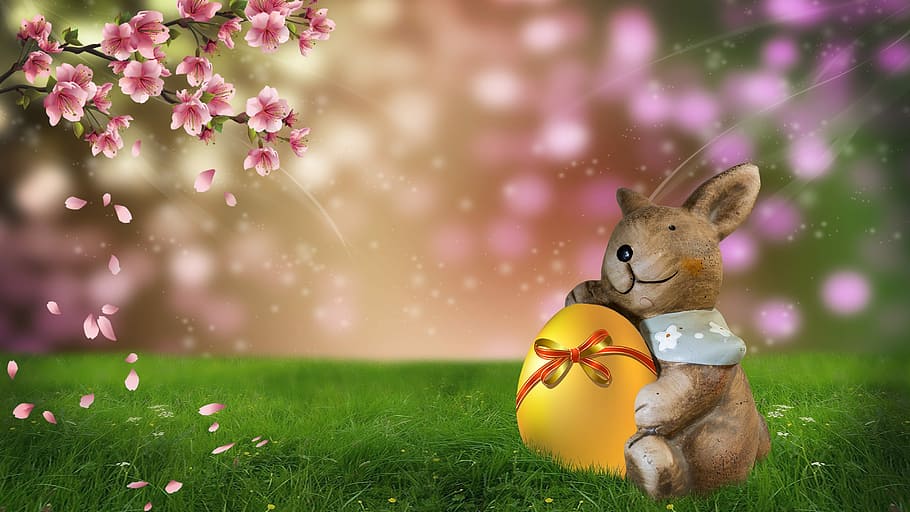 animated, brown, bunny, hugging, gold egg, sitting, green, grass, facing, pink