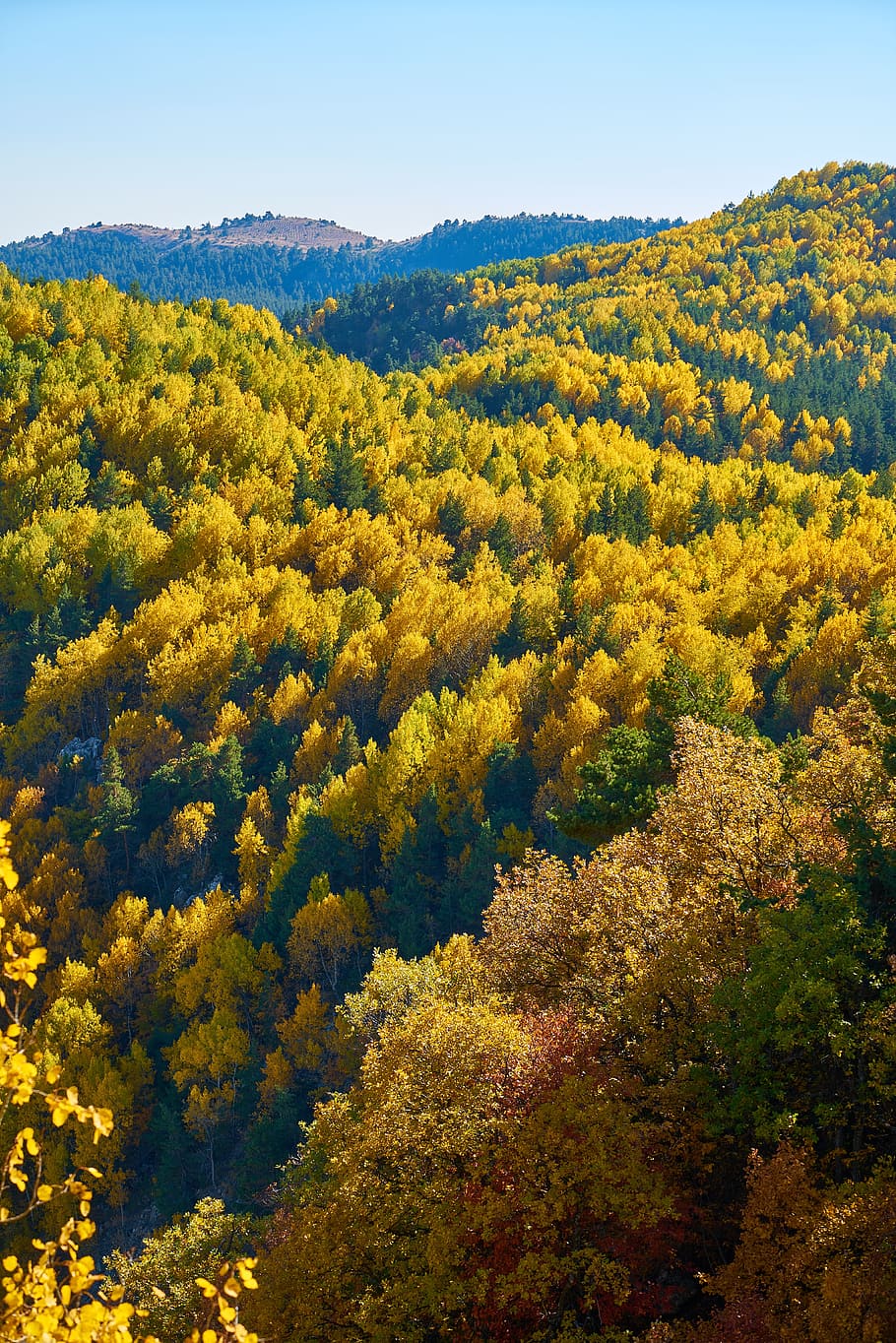 mountains, trees, autumn, nature, mountain, landscape, background, forest, peace, spring