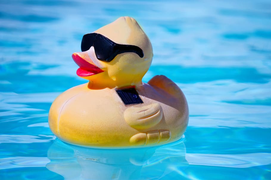 rubber duck, toy, pool, bath, duck, swim, water, swimming pool, swimming, blue