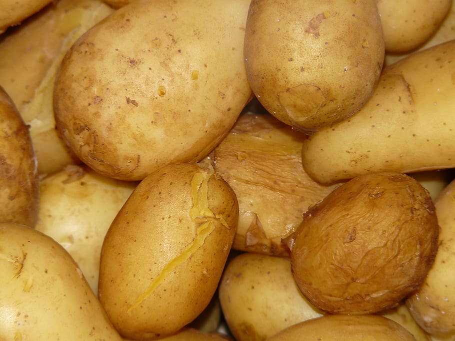 potatoes, cooked, cook, shell, food, eat, hot, organic, vegetable, freshness
