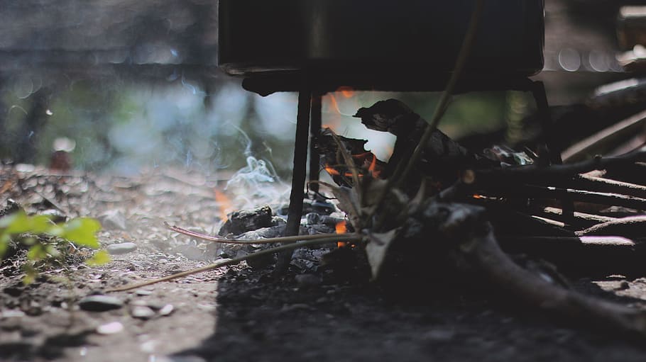 pembakaran, kayu, panci masak, api, berkemah, panas, memasak, membakar, cahaya, asap