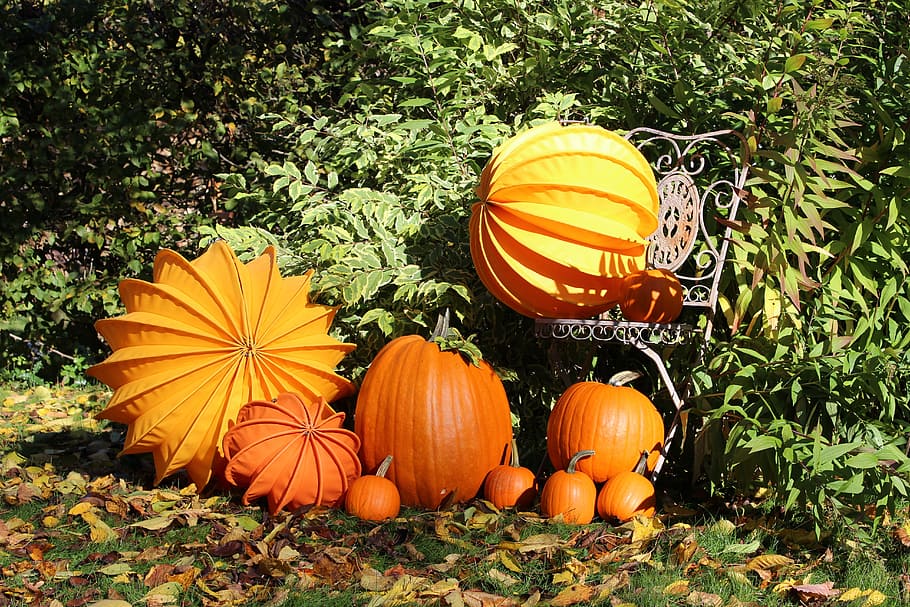 Lampion, farolillos, otoño, calabazas, calabaza, decoración de otoño, sol, sol de otoño, amarillo, naranja