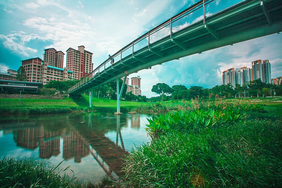 Bridge, Bishan, Park, bishan, park, bishanpark, bishanangmokio, hdb, flats, singapore, housing