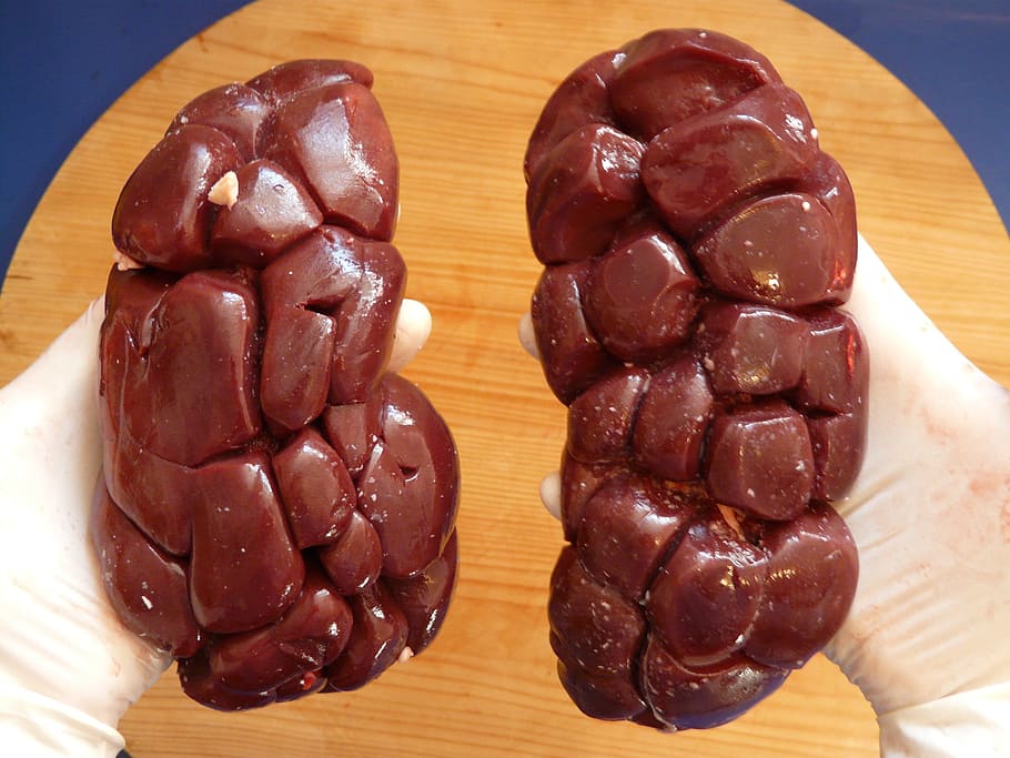 person, holding, two, red, meats, inside, room, bovine kidney, offal, meat