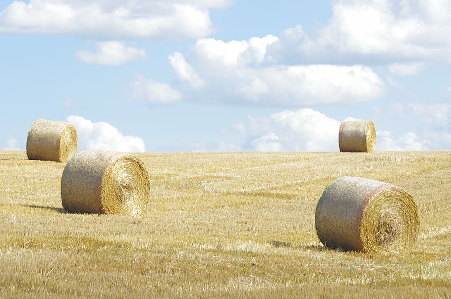 norfolk, straw, roll, sky, field, bale, hay, land, landscape, cloud - sky