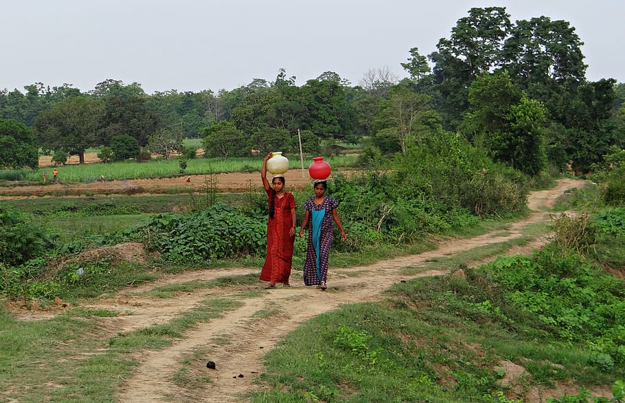 women, village, fetching water, pot, hands-, balance, karnataka, india, plant, tree