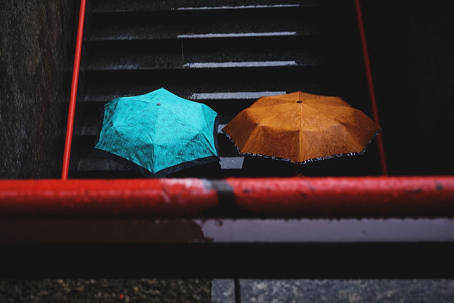 people, umbrella, stairs, rain, water, close-up, protection, leaf, day, outdoors