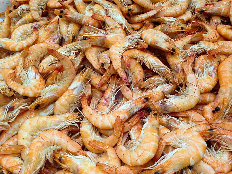 orange shrimp lot, shrimp, crustaceans, sea, seafood, food, freshness, gourmet, food and drink, full frame