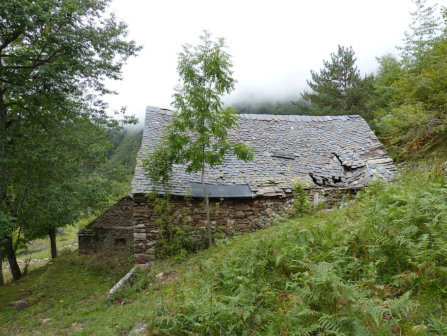 borda, popular architecture, roofing slate, poultry, val d'aran, ruin, plant, tree, built structure, architecture
