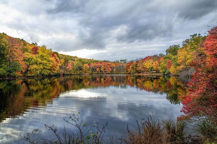 Hidden Lake, Water, Sky, Clouds, Outdoor, water, sky, trees, fall foliage, reflection, autumn