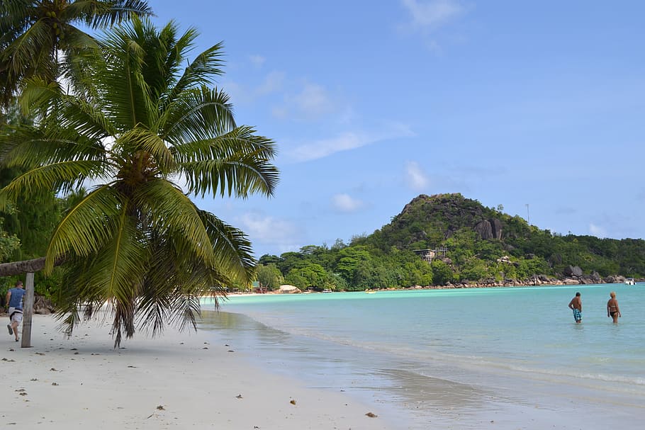 Praslin, isla, Seychelles, tropical, viaje, océano, playa, mar, paraíso, arena