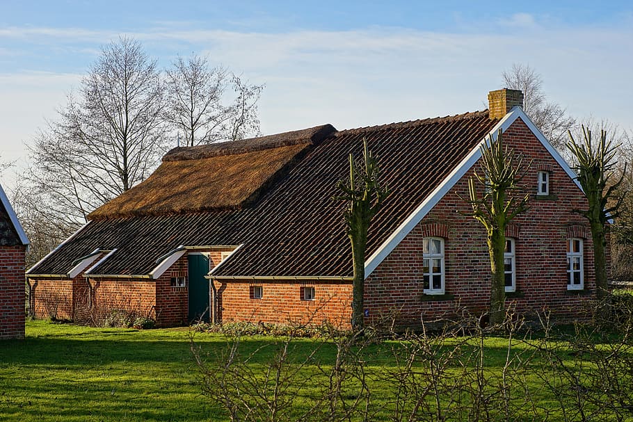rumah dicat coklat, gudang, rumah, pertanian, atap, pedesaan, fehnhaus, frisia timur, arsitektur, langit