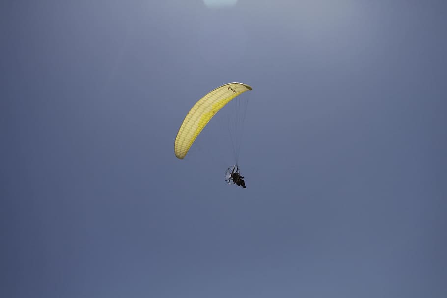 sea, gangneung, travel, adventure, sport, extreme sports, paragliding, mid-air, flying, parachute