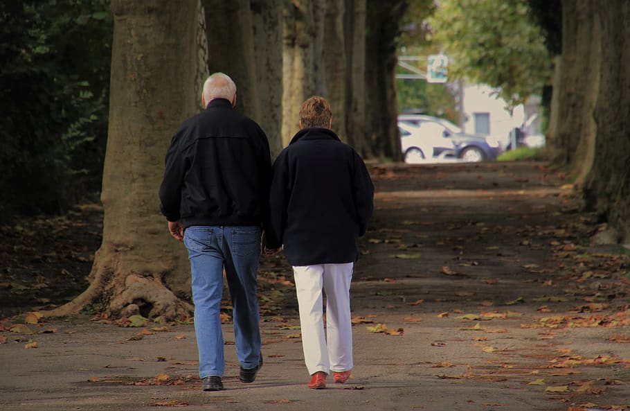 senior, para, autumn walk, two, in the park, the relationship, hands, love, friendship, pensioner