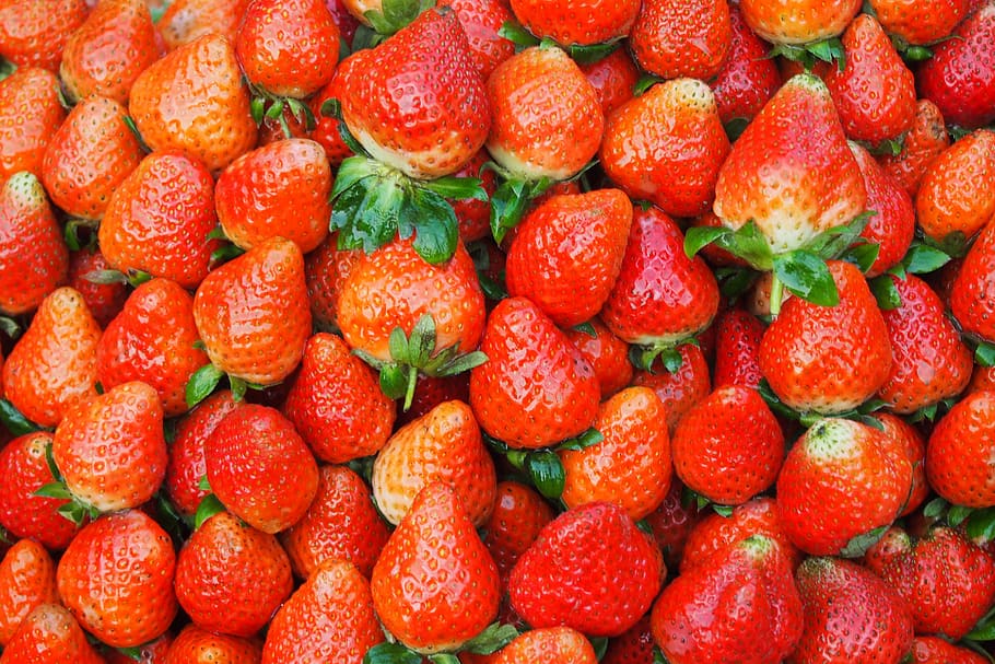 Strawberries, Strawberry Pie, Collection, fresh fruit, viet nam, food and drink, fruit, full frame, red, backgrounds