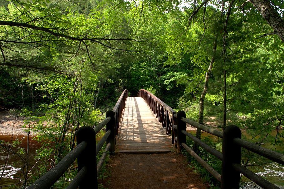 bad river foot bridge, bridge, color, foot bridge, nature, outdoors, travel, trees, wood, wooden