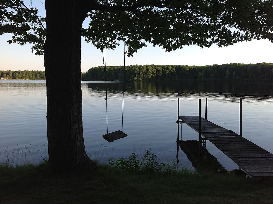 silhouette, swing, hanging, tree, boat dock, lake, nature, reflection, summer, sky
