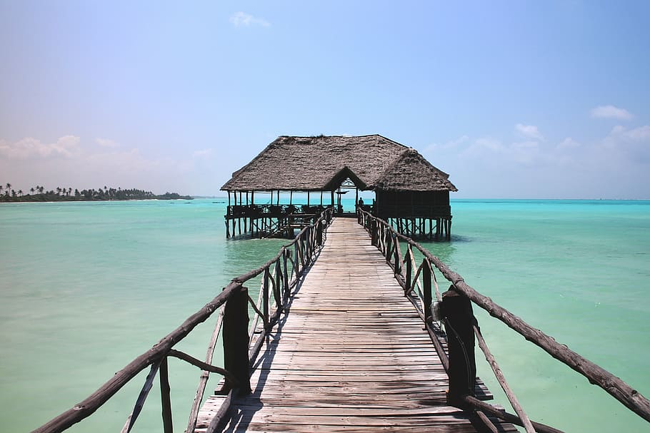 brown wooden dock, paradise, web, sea, beach, sand, sand beach, booked, lagoon, holiday