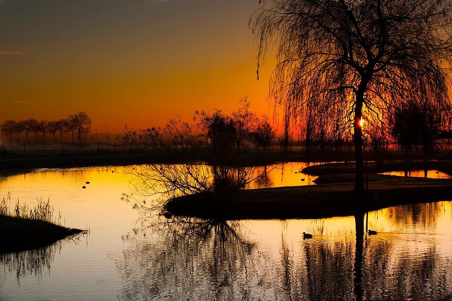 Amanecer, estanque, más cierto, reflexión, puesta de sol, lago, agua, silueta, árbol, pintorescos - naturaleza