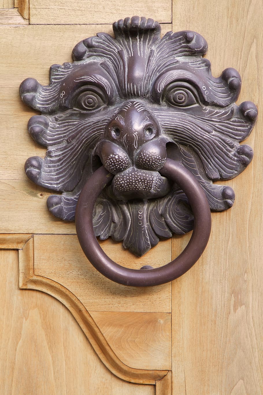 brown, metal door knocker, lion head, doorknocker, thumper, metal, door, gate, input, animal representation