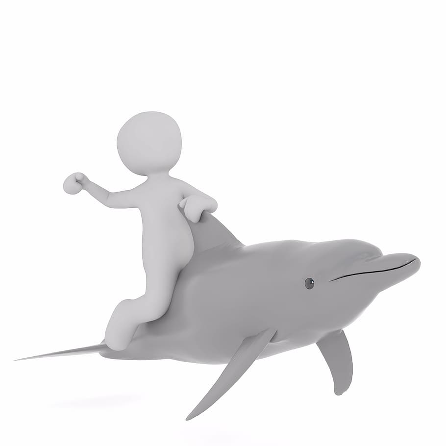 boy, riding, dolphin clipart, males, 3d model, isolated, 3d, model, full body, white