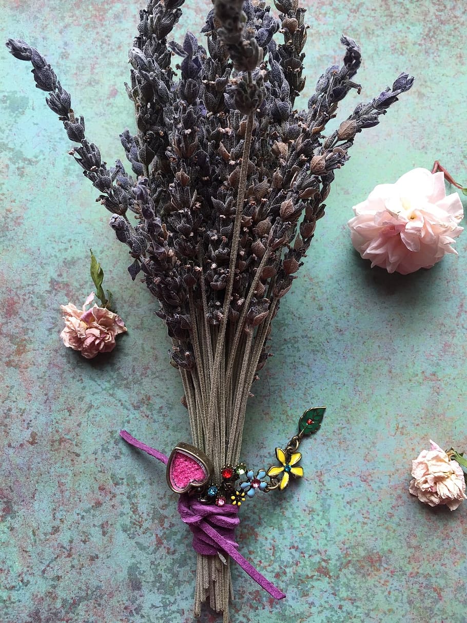 Lavender, Sachet, Herbal, flower, plant, flower head, studio shot, indoors, flowering plant, nature