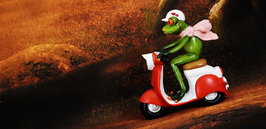 frog, riding, motorcycle figurine, motorcycle, figurine, vespa, figure, roller, vehicle, locomotion