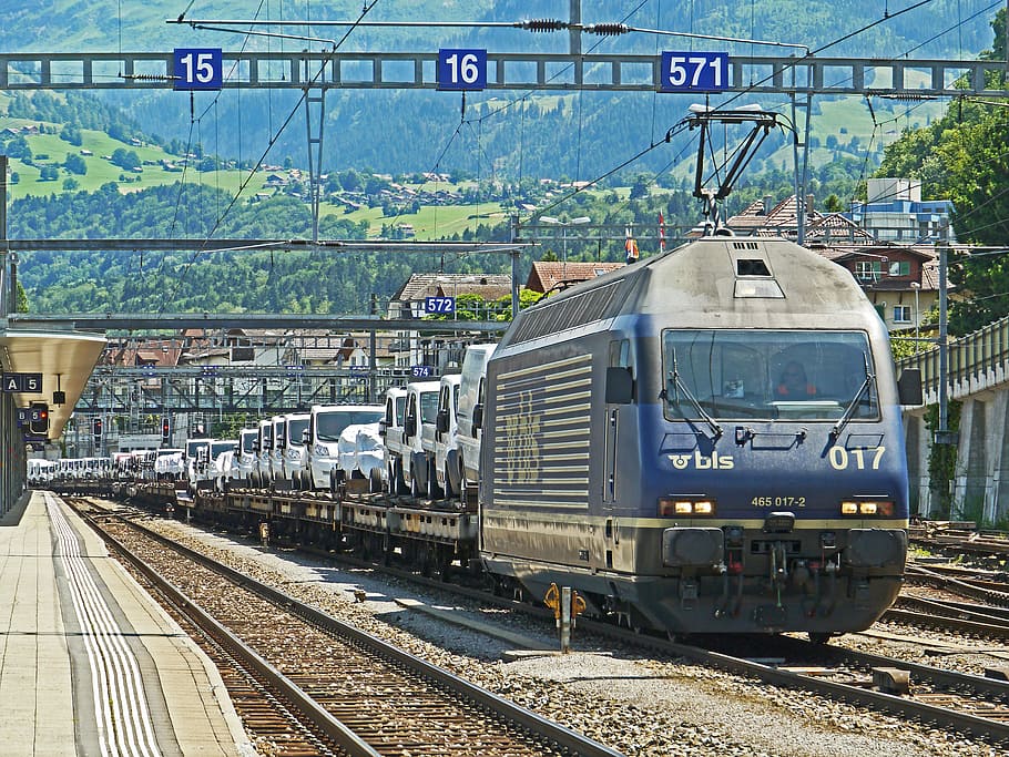 veículo, azul, cinza, trem, trem de carga, autotransporter, travessia alpina, spiez, ferrovia bern-lötschberg-simplon, bls
