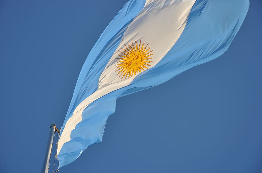 Flag, Argentina, flaming, nature, studio shot, blue, close-up, sky, flower, flowering plant