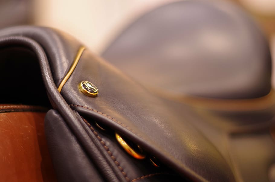 brown leather apparel, saddle, leather saddle, ride, horse, close-up, selective focus, clothing, leather, indoors
