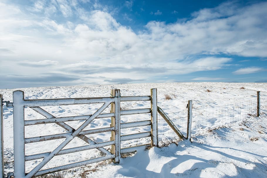 snow, winter, white, cold, weather, ice, nature, fence, clouds, sky