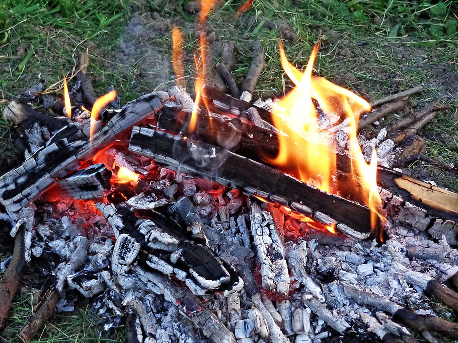 Brote, campamento, brote de, viaje de campamento, parrilla, llamas, fuego, madera, quemadura, humo