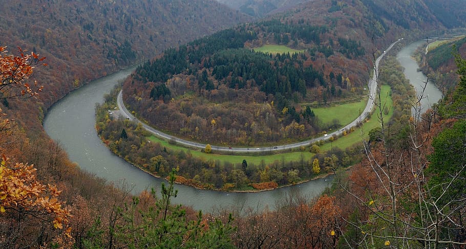 Meandro, Fatra, Eslováquia, Rio, balanças, outono, caminho, país, floresta, árvores
