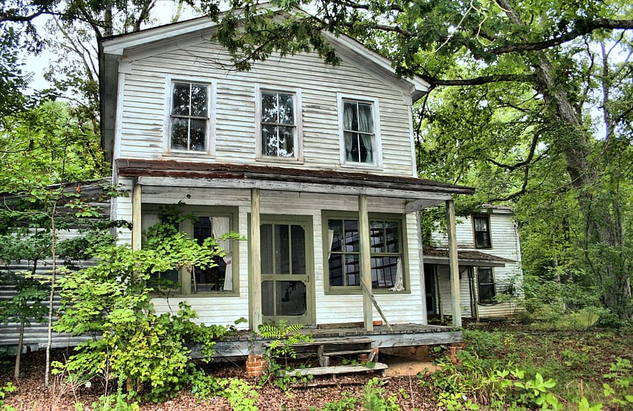white, wooden, 2-story, 2- story house, middle, forest, house, abandoned, vacant, vintage