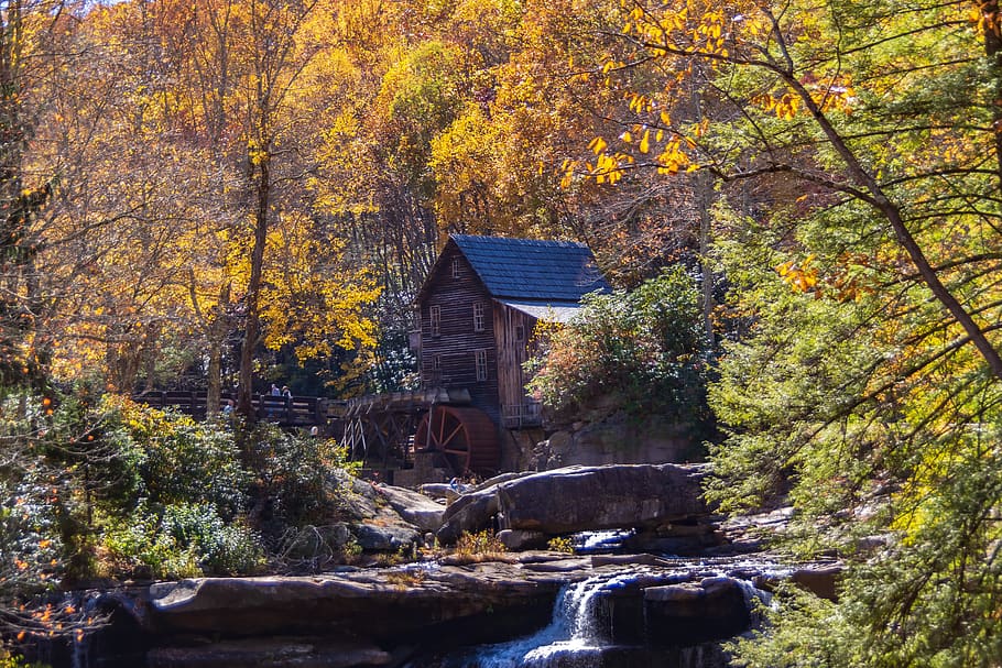 babcock wv, gristmill, stream, creek, landscape, trees, park, nature, outside, scenic