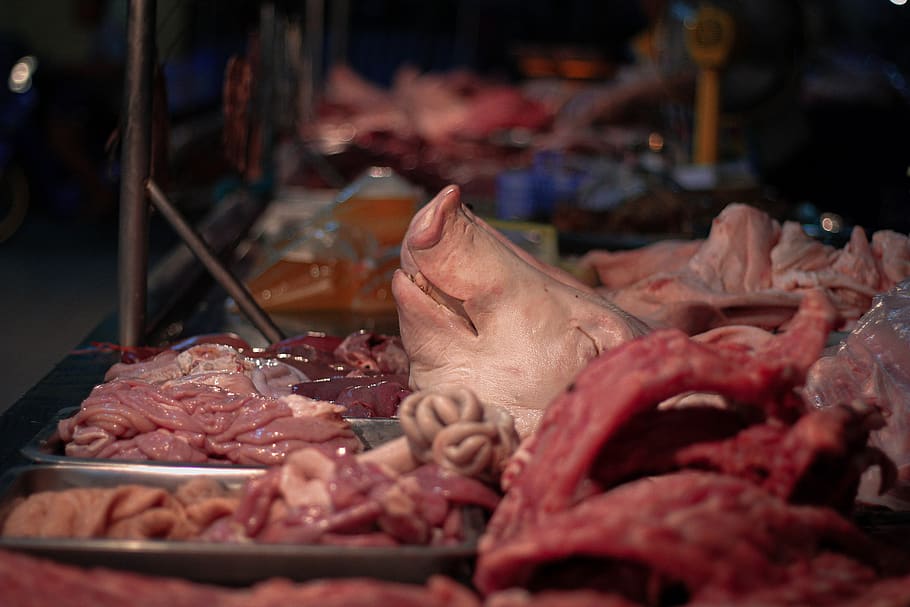 cerdo, cabeza, matar, carne, mamíferos, comida, cultural, rojo, joven, mercado